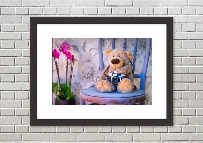 Framed Print